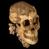 У Ефіопії знайдені найстародавніші останки людиноподібної істоти