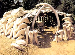Реконструкція палеолітичного житла періоду пізного палеоліту (15 тис. до н.е.) з території теперішнього села Межиріч Черкаської області  