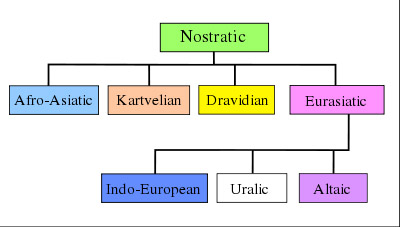 Схема походження мовних сімей Ностратичної макро-сім’ї.