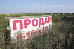 Хроніки дерибану. Земельна реформа: на користь одного банку чи кількох родин? Хроніки дерибану. Земельна реформа: на користь одного банку чи кількох родин?